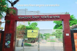 বাবার সাথে বিমান জাদুঘরে এক মজার দিন - GoArif
