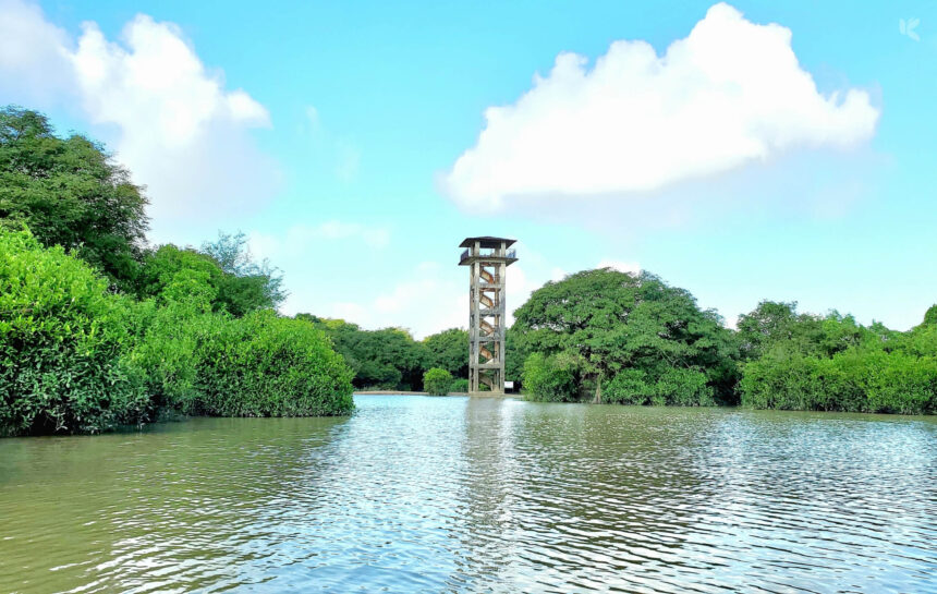 রাতারগুল সোয়াম্প ফরেস্ট, সিলেট - কুহুডাক