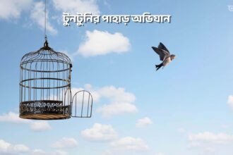 টুনটুনির পাহাড় অভিযান - GoArif