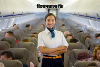 বিমানবালা কি - GoArif