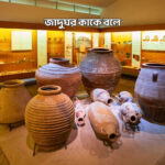 জাদুঘর কাকে বলে - GoArif