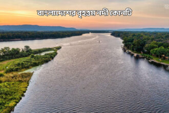 বাংলাদেশের বৃহত্তম নদী কোনটি - GoArif